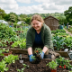 Woman gardening in a vibrant allotment, surrounded by green plants, tools, and a basket of freshly picked vegetables